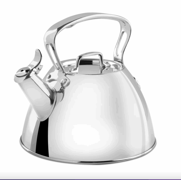 All-Clad Stainless Steel Tea Kettle