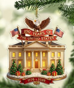 250 Years of America Acrylic Ornament | 250th Anniversary 1776-2026 | Patriotic 4th of July Ornament