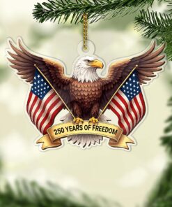 250 Years of Freedom Acrylic Ornament | Happy 250th Birthday America | 4th of July Christmas Ornament