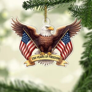 250 Years of Freedom Acrylic Ornament | Happy 250th Birthday America | 4th of July Christmas Ornament 683523