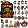 Florida Panthers Advent Calendar, Christmas Countdown Advent Calendar Gift Box with 24 Acrylic Ornaments