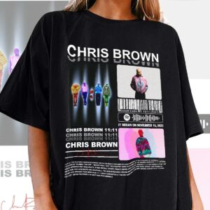 Chris Brown Graphic Shirt, Chris Brown Tour Sweatshirt Hoodie