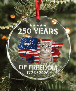 Alternative view of Custom Cat Photo American 250th Anniversary Glass Ornament