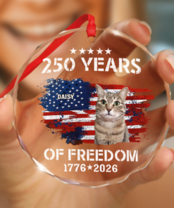 Custom Cat Photo American 250th Anniversary Glass Ornament
