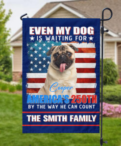 Custom Photo Even My Dogs Cats Are Waiting For America's 250th Garden Flag