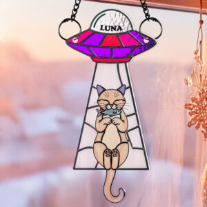 Funny Cat UFO Suncatcher Ornament Personalized Gifts For Cat Lovers 04NADT060625