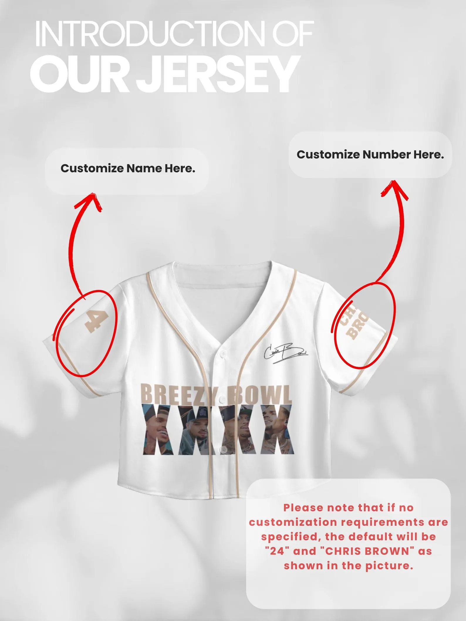 Custom Chris Brown CropTop Baseball Jersey, Breezy Bowl XX Music Tour 2025 CropTop Baseball Jersey - Image 2
