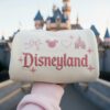 Disneyland Embroidered Bow Sweater, Mickey Mouse Cute Christmas Shirt, Embroidered Magical Land Crewneck Sweatshirt