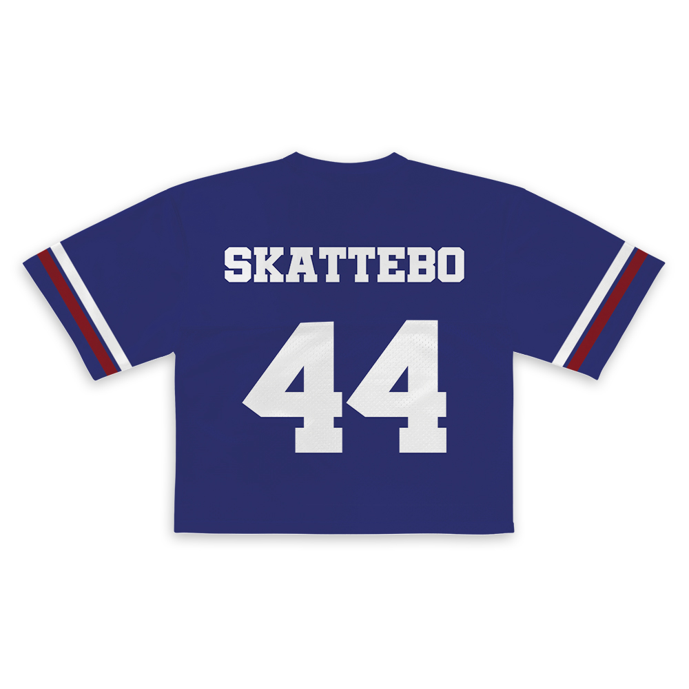 Cam Skattebo Crotop Mesh Football, New York Game Day Crotop Mesh Football - Image 3