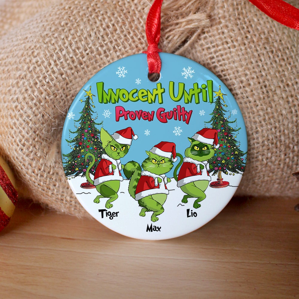 Alternative view of Personalized Gifts For Cat Lover Ornament 03hutn190724 Christmas Gifts