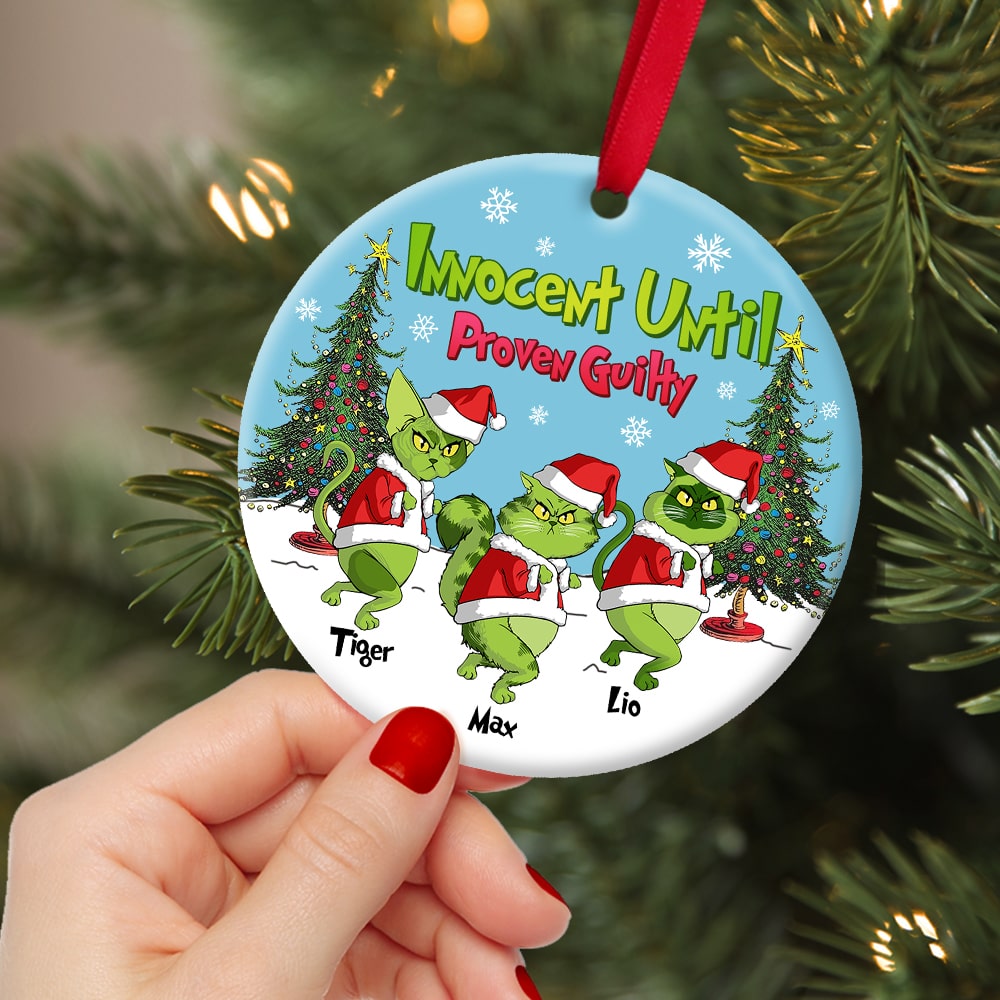 Personalized Gifts For Cat Lover Ornament 03hutn190724 Christmas Gifts - Image 3