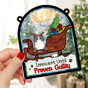 Personalized Gifts For Cat Lover Suncatcher Ornament 041hutn190724 Naughty Cat Christmas