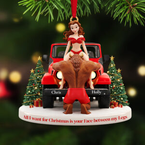 Personalized Gifts For Christmas, Naughty Couple Acrylic Ornament 03ohta241025