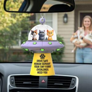 UFO Furry Overlords Car Ornament - Personalized Christmas Gifts For Cat Lovers 06tgqn280725