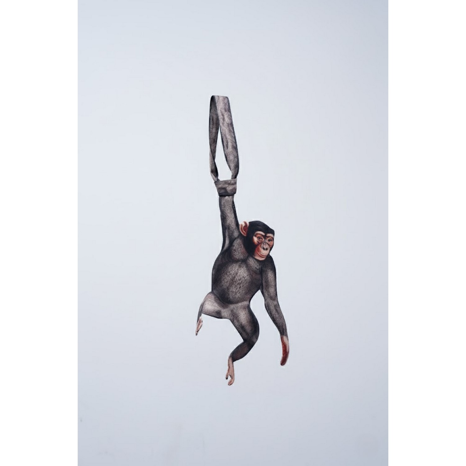 Alternative view of Animals Ties - Monkey Tie, Silk Tie, Novelty Tie, Tie Accessories Holiday Gift, Silk Tie.