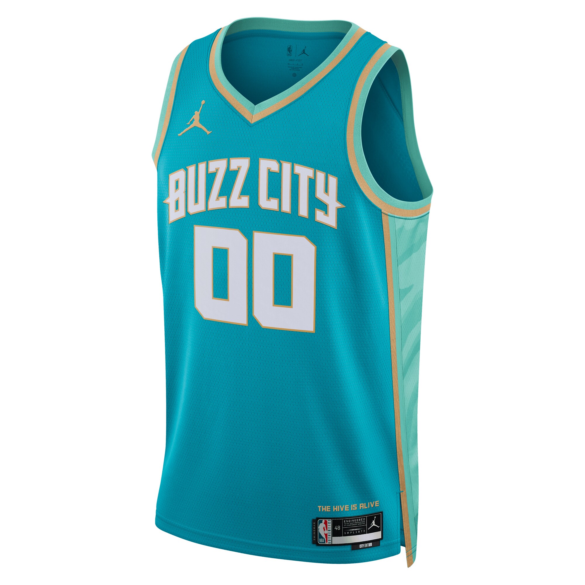 Alternative view of Charlotte Hornets Jordan Brand Unisex 2023/24 Custom Swingman Basketball Jersey - Teal - City Edition
