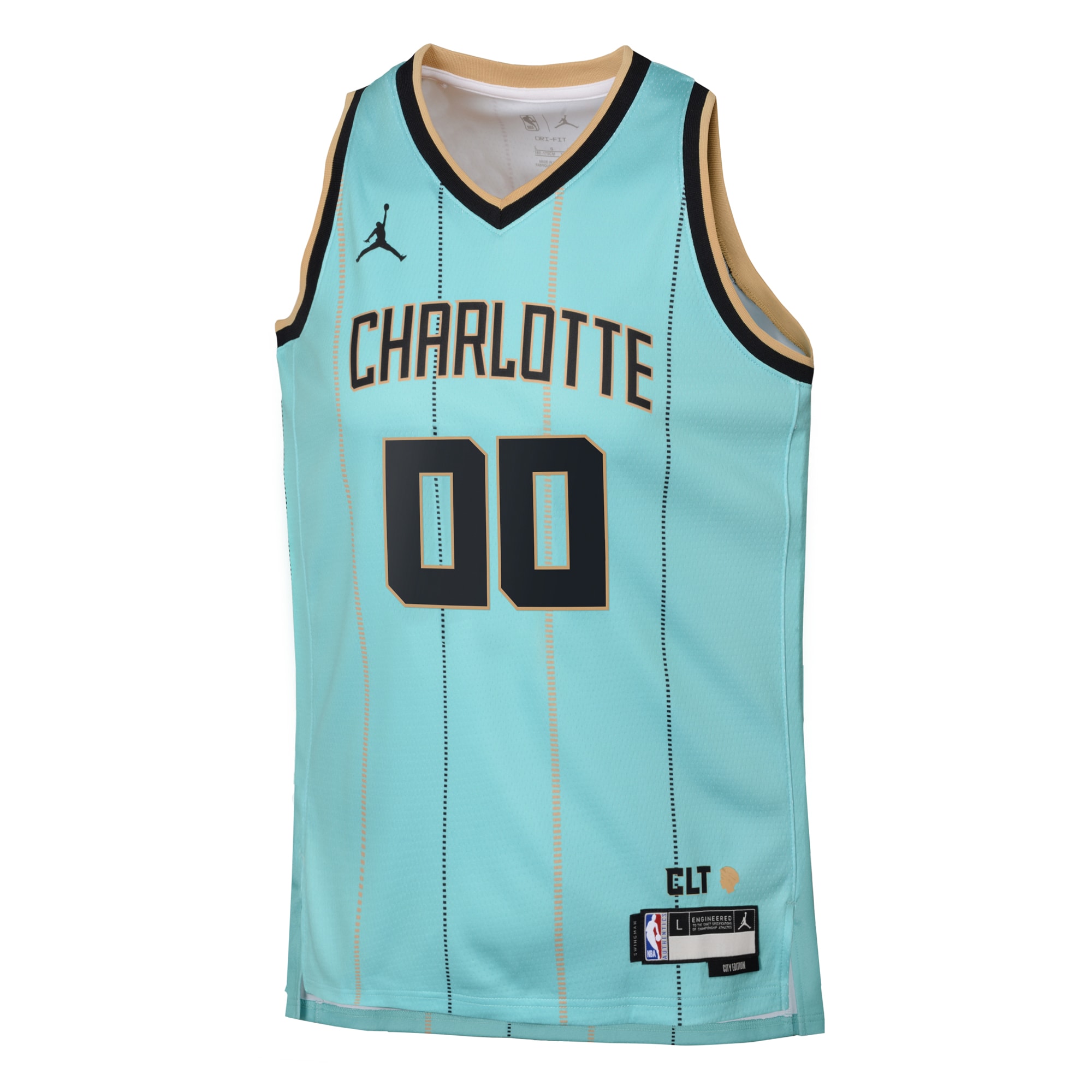 Alternative view of Charlotte Hornets Jordan City Edition Swingman Basketball Jersey 2024 - Custom - Youth - JS723 