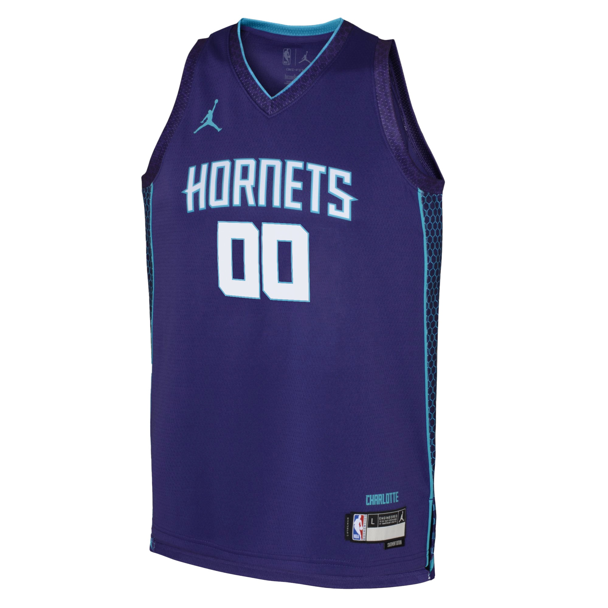 Charlotte Hornets Jordan Statement Edition Swingman Basketball Jersey - Custom - Youth - JS610 