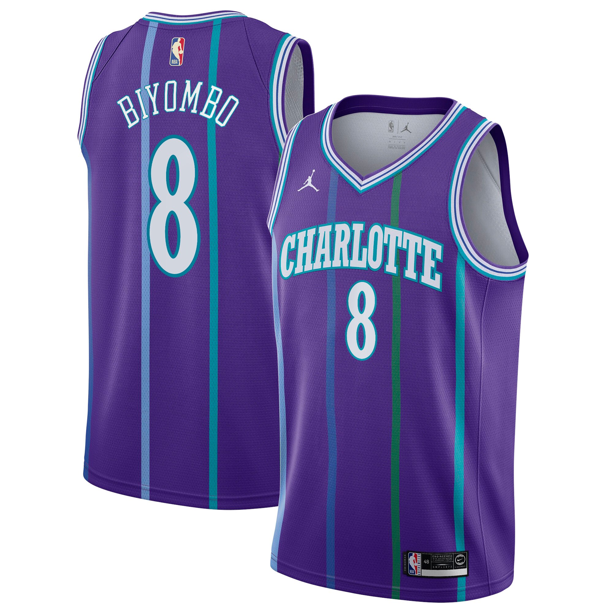 Charlotte Hornets Nike Hardwood Classics Swingman Basketball Jersey - Bismack Biyombo - Youth