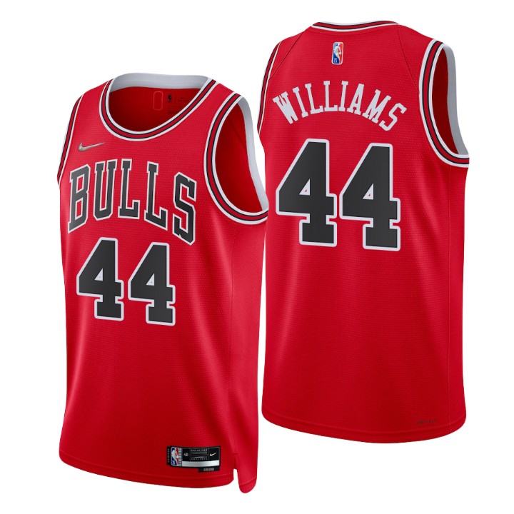 Chicago Bulls Patrick Williams 75th Anniversary Diamond Basketball Jersey Icon