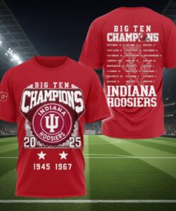 Indiana Hoosiers Big Ten Championship 2025 3D Shirt,  IU Football Big 10 Champs 3D Shirt