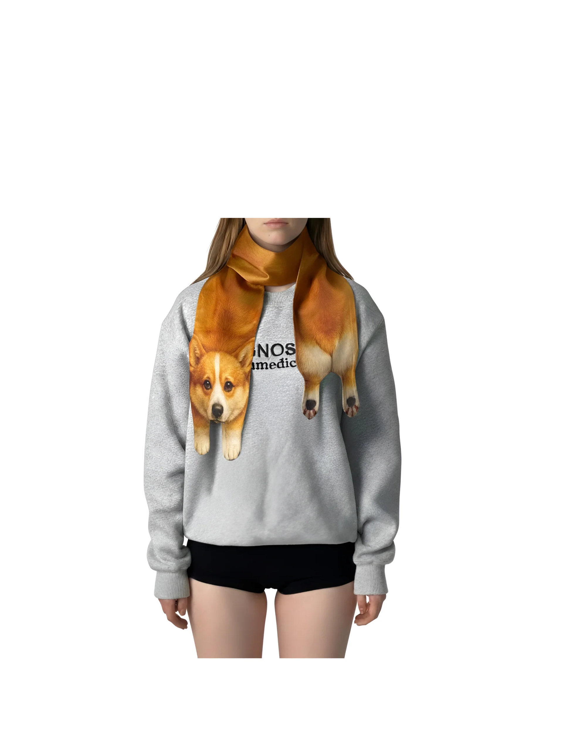 Animal Scarf – Golden Corgi Scarf, Novelty Silk Scarf , Funny Pet Scarf