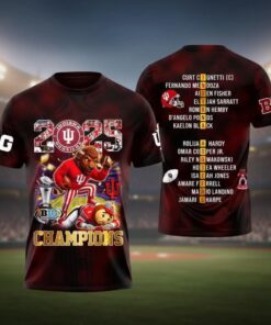 Indiana Hoosiers Big Ten Championship 2025 3D Shirt