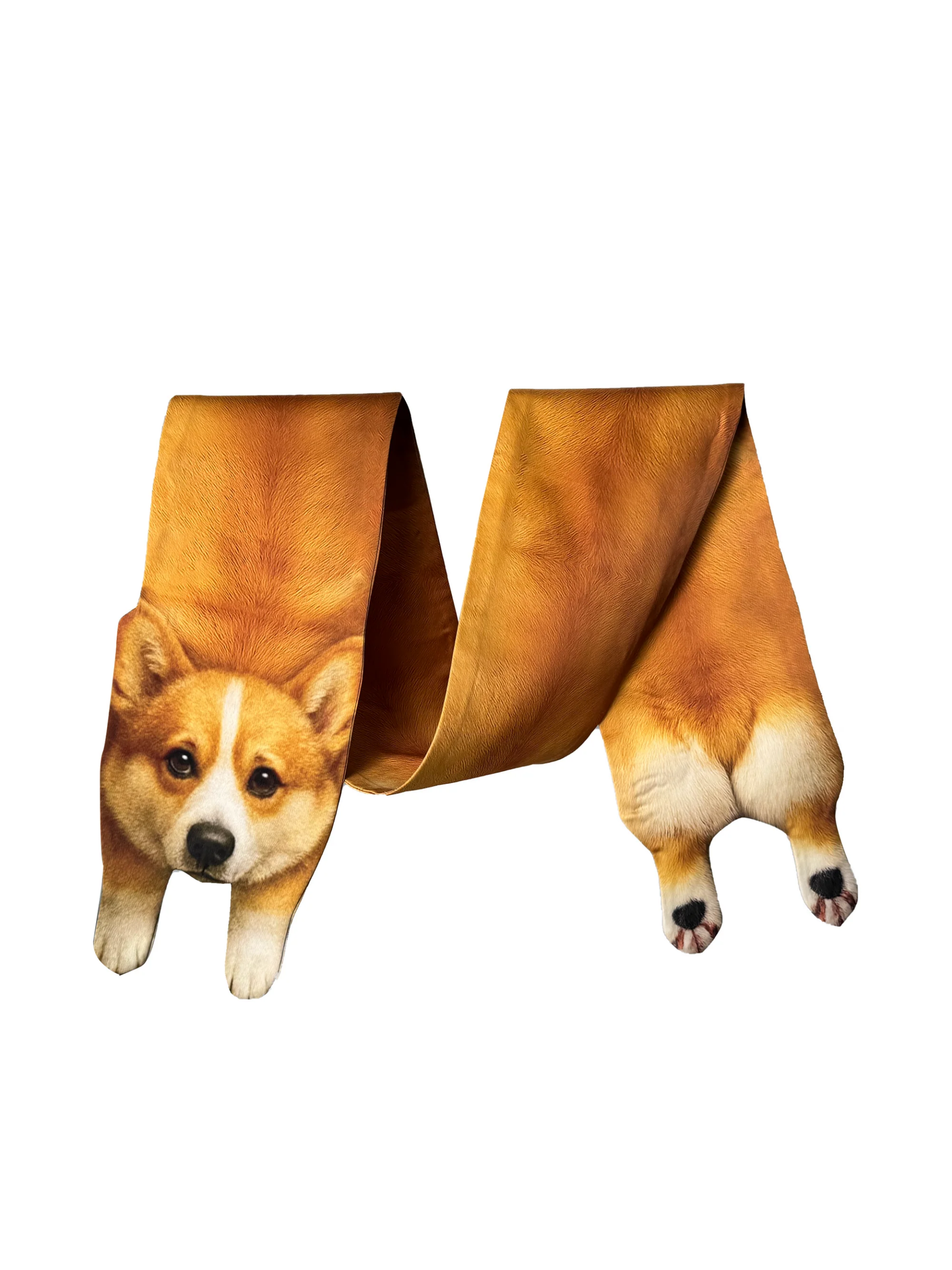 Animal Scarf – Golden Corgi Scarf, Novelty Silk Scarf , Funny Pet Scarf - Image 3
