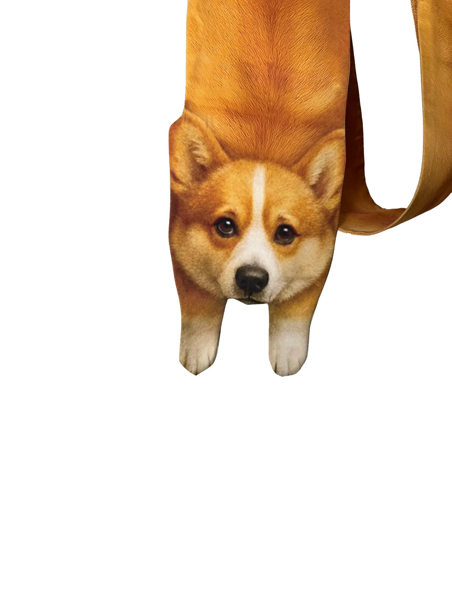 Animal Scarf – Golden Corgi Scarf, Novelty Silk Scarf , Funny Pet Scarf - Image 4
