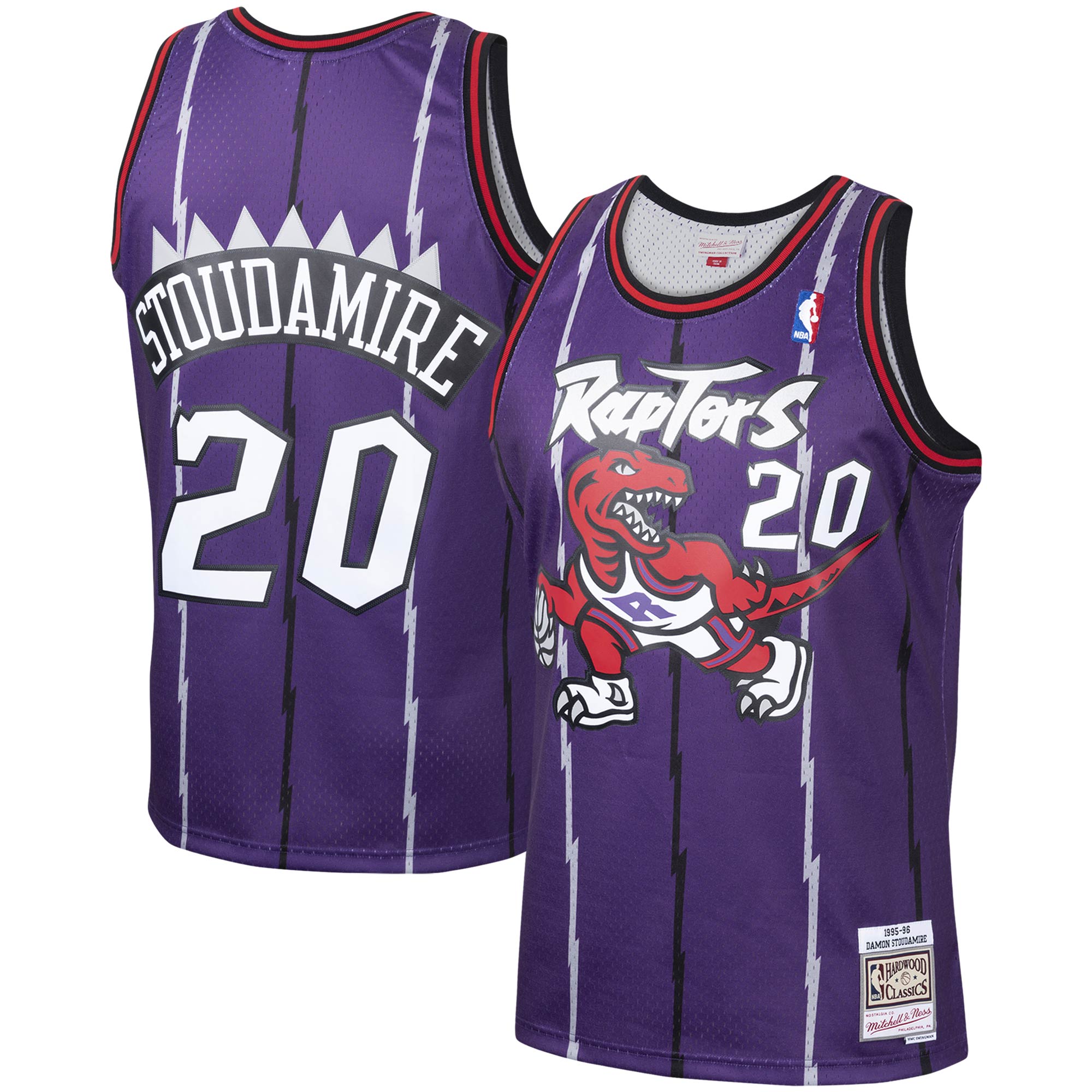 Men's Mitchell & Ness Damon Stoudamire Purple Toronto Raptors 1995-96 Hardwood Classics Swingman Player Basketball Jersey - JS899 
