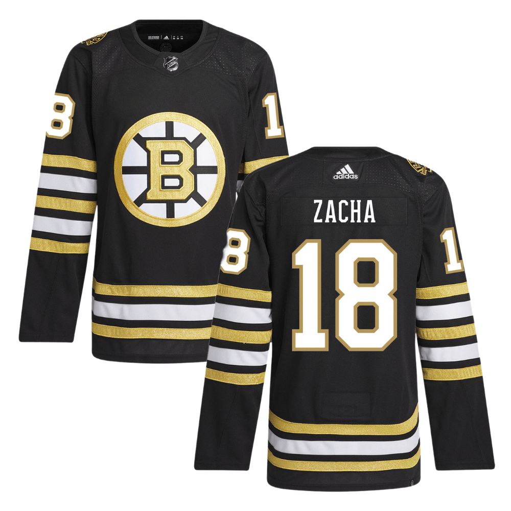 Pavel Zacha 18 Boston Bruins 100th Anniversary Primegreen Home Men Hockey Jersey - Black - JS350 