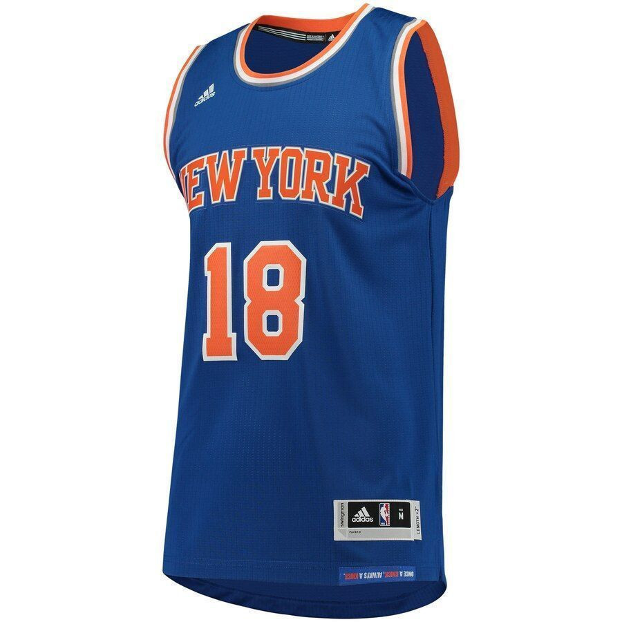 Alternative view of Sasha Vujacic New York Knicks Swingman Basketball Jersey - Blue - JS760 