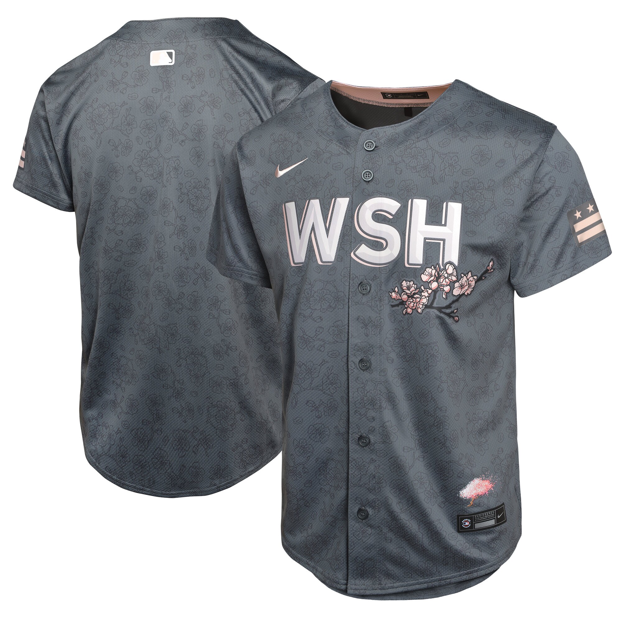 Washington Nationals Youth City Connect Limited Baseball Jersey - Charcoal