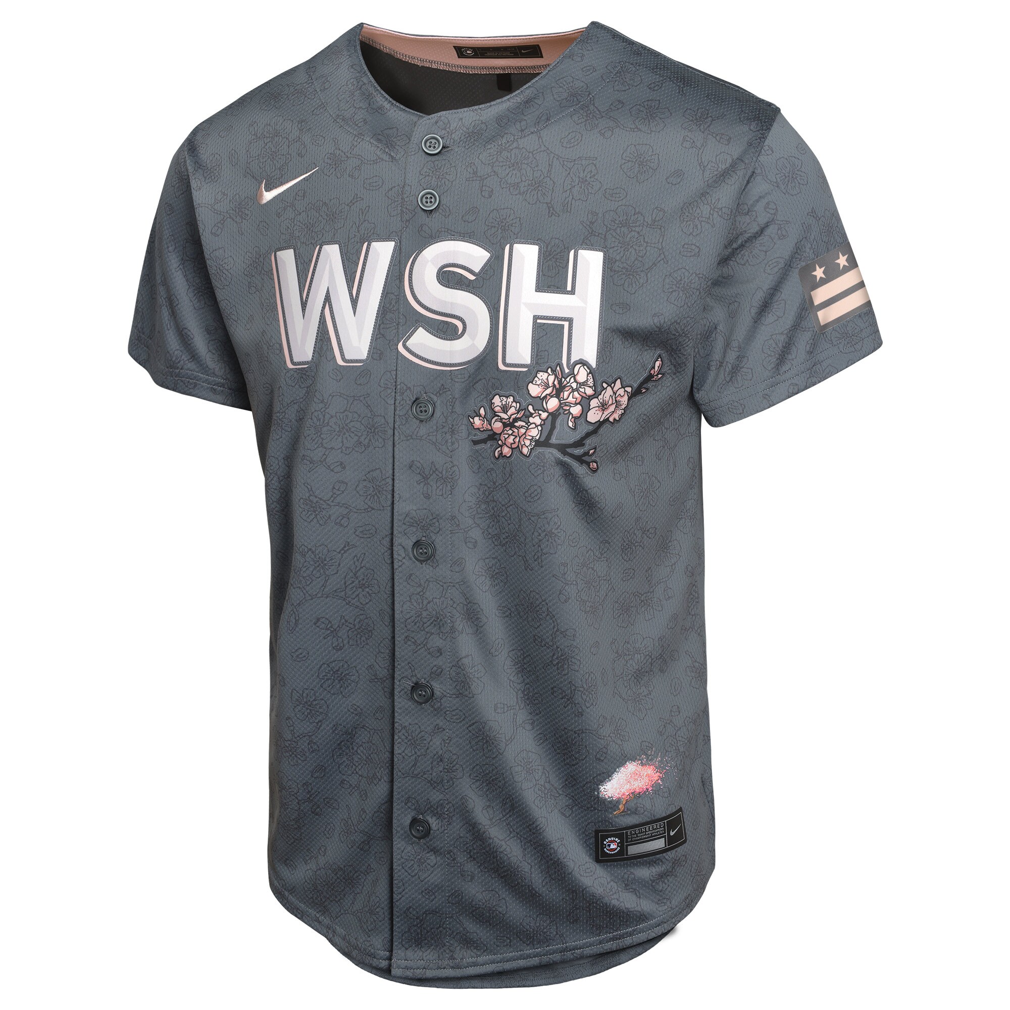 Alternative view of Washington Nationals Youth City Connect Limited Baseball Jersey - Charcoal